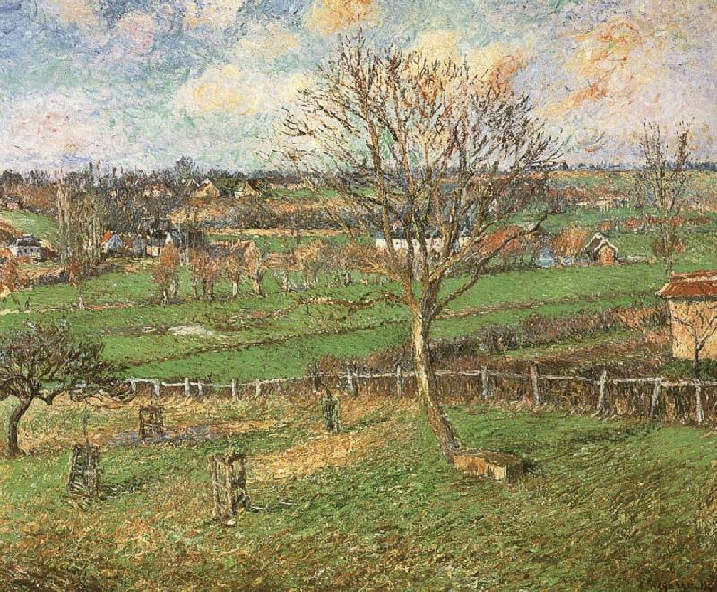 The peach trees in winter, Camille Pissarro